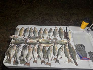 White Perch Day