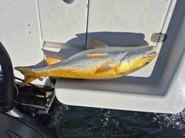 Would definitely do again 