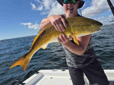 Would definitely do again 