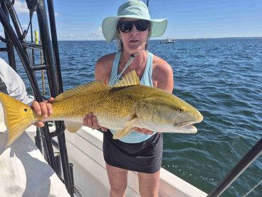 Would definitely do again 