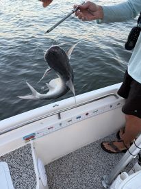 Great time on the water!