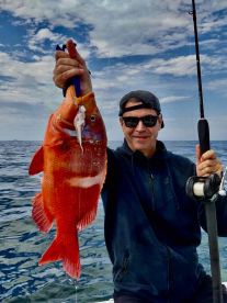 Diversión en el arrecife