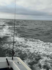 great captain and great trip, will recommend!