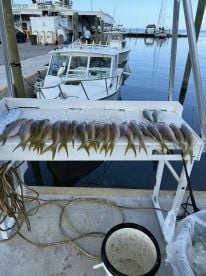 Great time with Captain Alex 