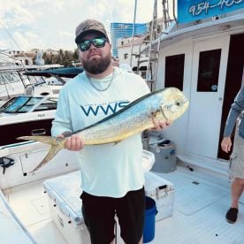 ABDOLUTELY AMAZING GUYS