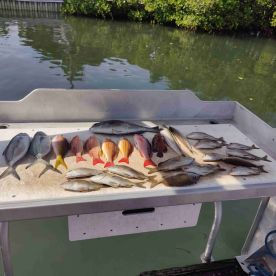 Dominic is the best.