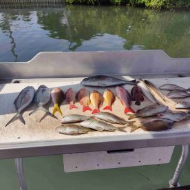 Dominic is the best.