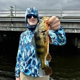 Awesome day - 5 species!