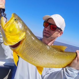 Nice day on Rio de la Plata - several dorados caught