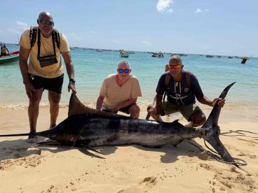 top catch.. big Blue Marlin outside season