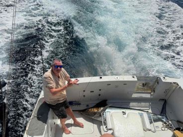 top catch.. big Blue Marlin outside season