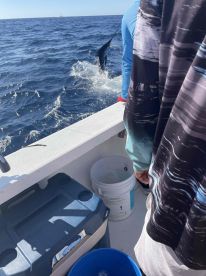 crew was very professional. Knew the conditions.