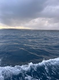 Matt is a great captain!