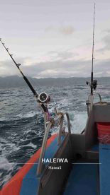 Matt is a great captain!