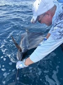 A great day had by all!! 