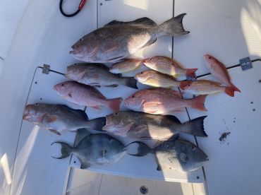 Liked It So Much - Did It Again