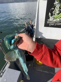 Great fishing experience!