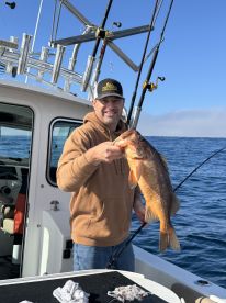 Above & Beyond Expectations