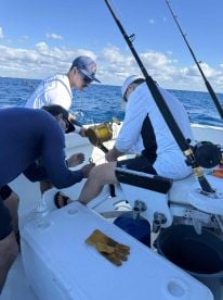 Ive been on many nothing like “dont tell mom”