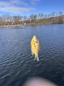 exceptional expierence 