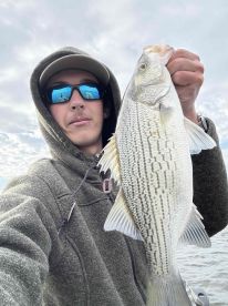 A Mess Before The Fish