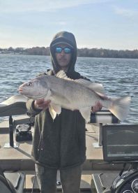 A Mess Before The Fish