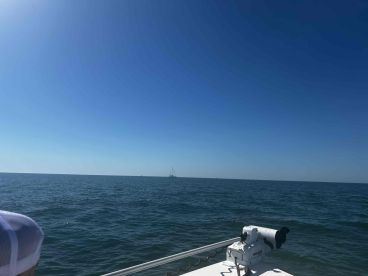 coolcaptain catch fish