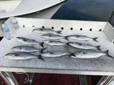 Great time with Captain Cord