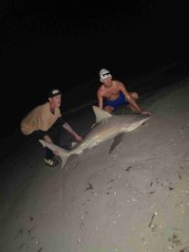 shark fishing