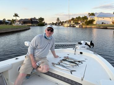 Massive school of Spanish Mackerel attacking bait!