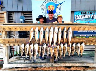 Wild morning and all were caught by 10am!