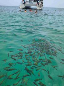 Great value trip to Racha Yai Island 