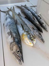 best trio of my life 