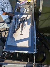 Capt Andy is the Best