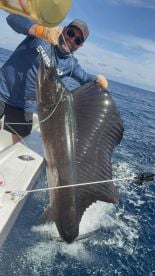 A Once-in-a-Lifetime Experience 