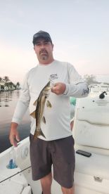 Very pleased with the price and results