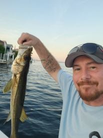 Very pleased with the price and results