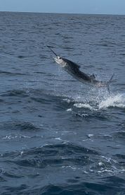 Great CR fishing experience 