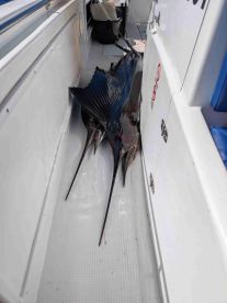 Großartiges Erlebnis