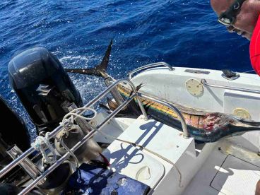 Großartiges Erlebnis