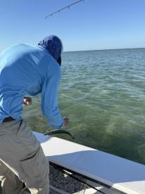 Endless Knowledge and Appreciation of the Ecosystem!