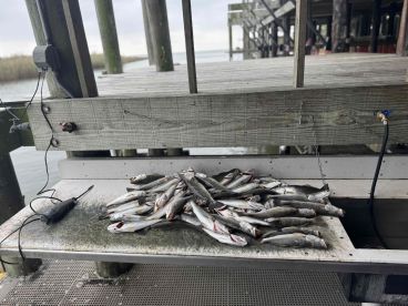 November fishing trip