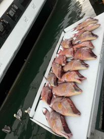 November fishing trip