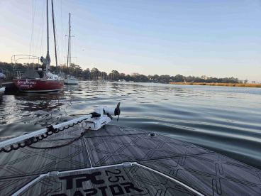 Great all around Experience 