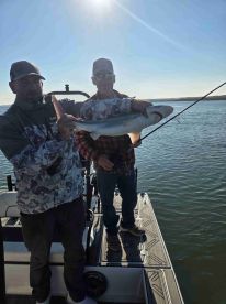 Great all around Experience 