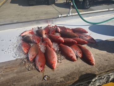 Knowledge and great with kids.  