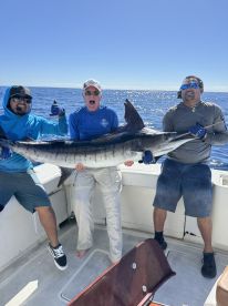 Captain Roy and Crew are INCREDIBLE