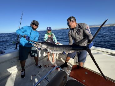 Captain Roy and Crew are INCREDIBLE