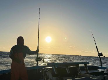 A morning in the pacific 