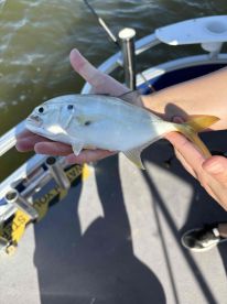 Caught Lots of Fish and Had a Fantastic Trip!